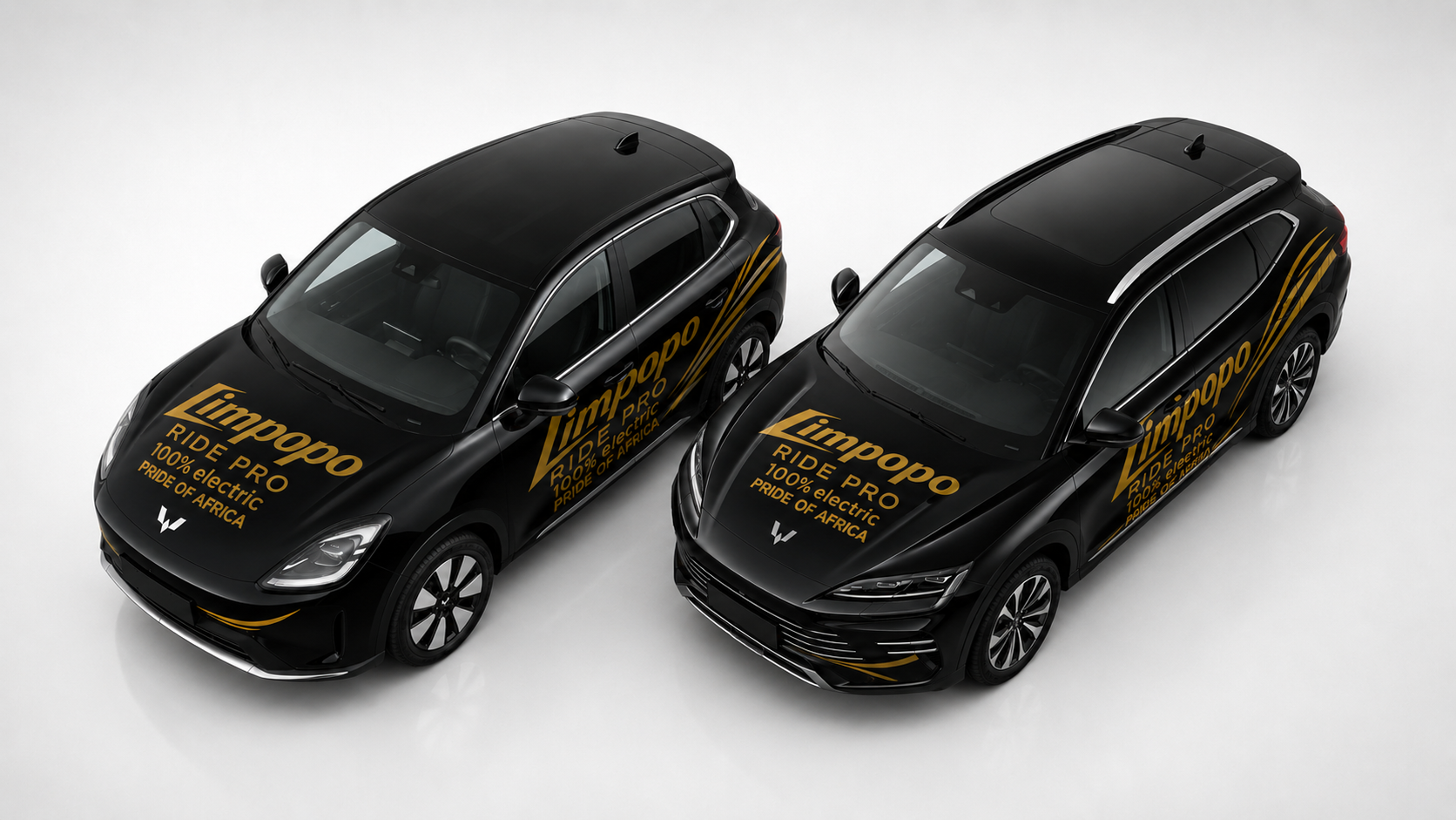 Limpopo Ride Pro branded electric fleet vehicles