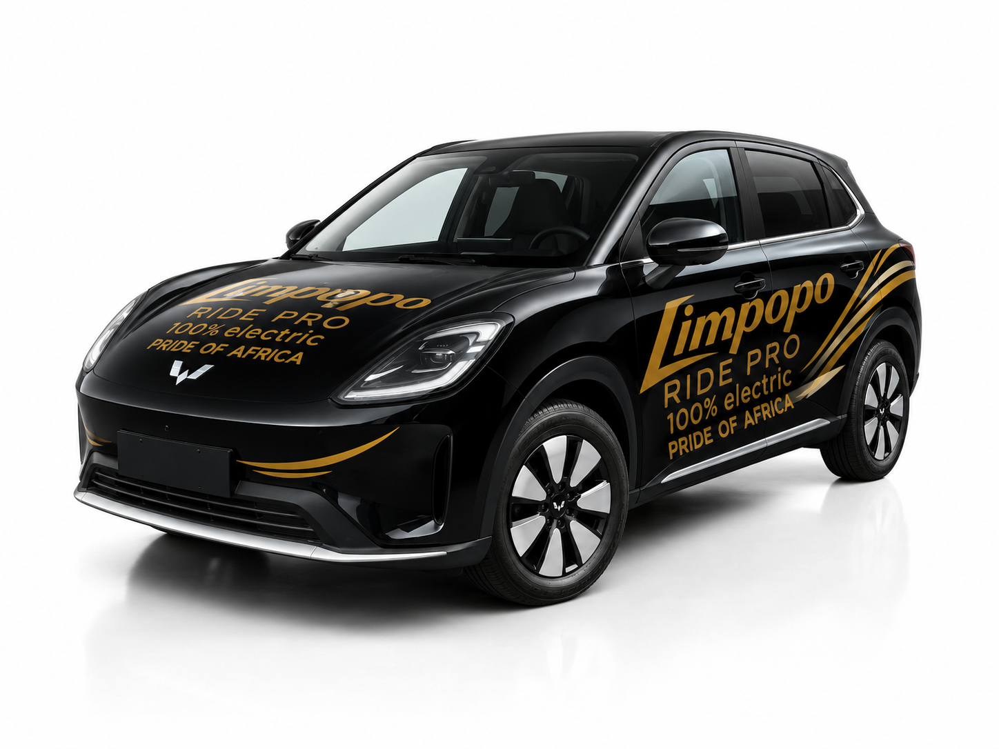 Limpopo Pro — Wuling electric
